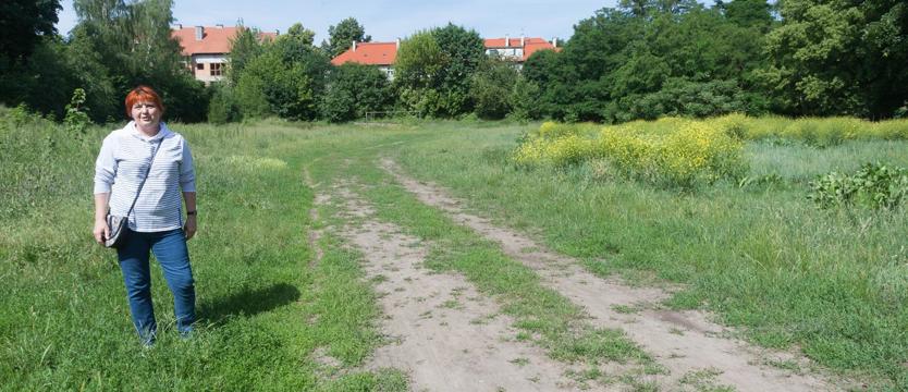 Szansa na nową Różankę