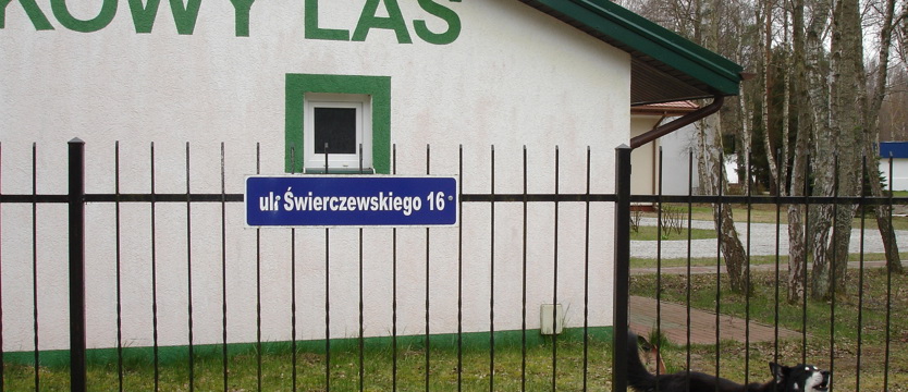 Komarow przepadł, a Świerczewski?
