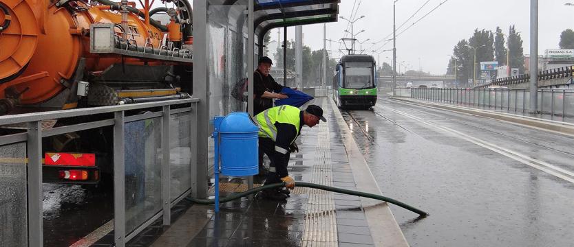 Szczeciński tramwaj wodny ma się dobrze