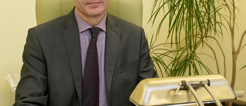 Żelazowski za Iwankiewicza