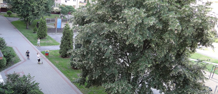 Podwórko parkingiem nie będzie