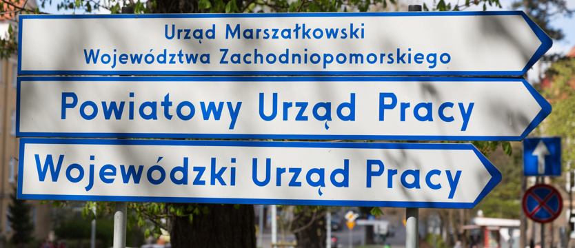 Na rynku dominują Ukraińcy
