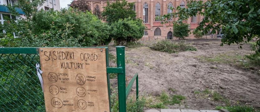 Powstają kulturalne grządki 