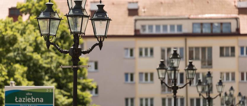 W KURIERZE. Kwiaty dla ulic