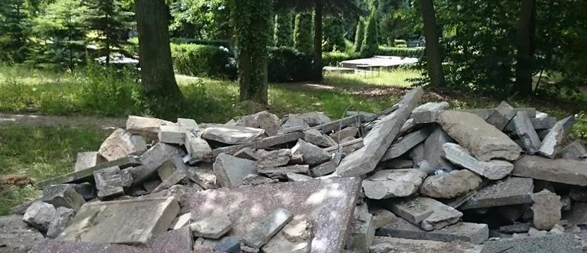 Sprzątanie na Centralnym