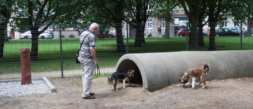 Psy mają swój plac zabaw