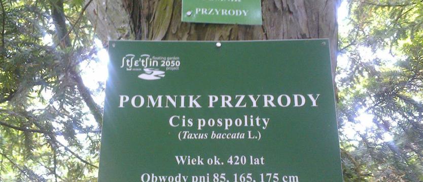 Cis się doczekał!