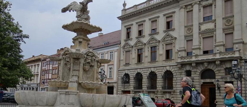 Orła cień