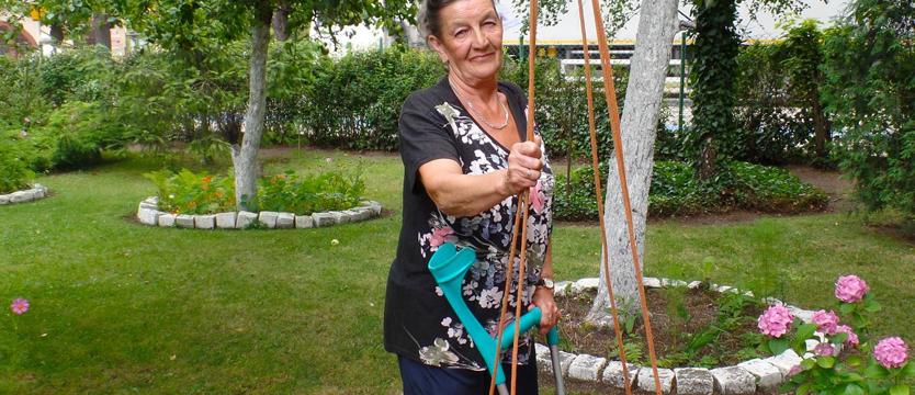 Malwy, hortensje i wino - lepszy świat Grażki