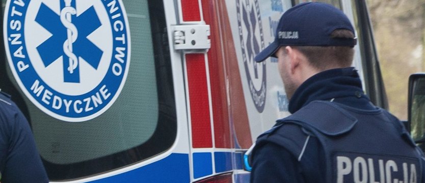 Auto dachowało niedaleko Lisiego Pola