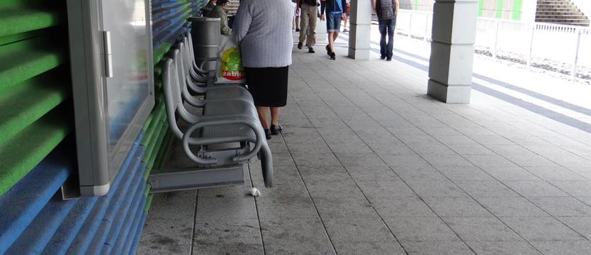 Brud i zielsko na przystankach