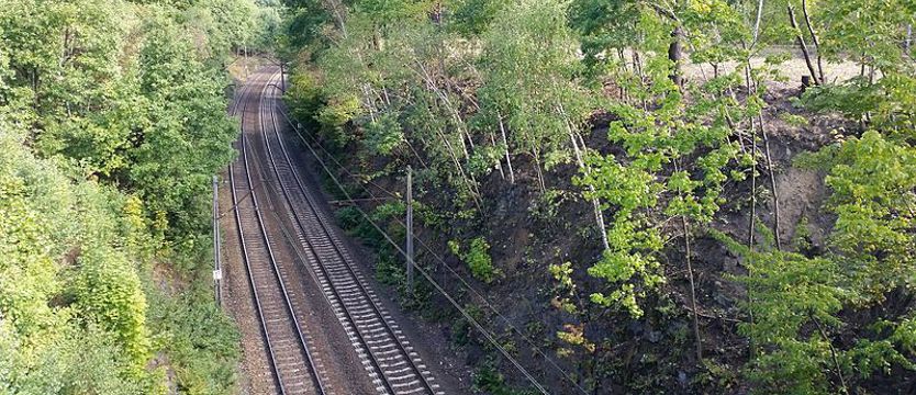 Ruszają poszukiwania „złotego pociągu”