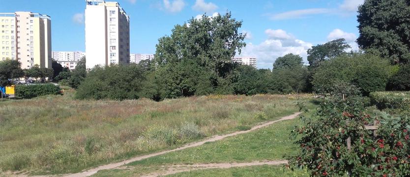 Wykonawca przejął plac