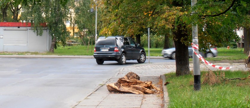NAPISZ DO NAS. Pień utrudnia przejście