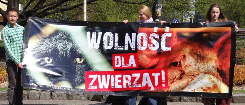 Prawa ludzi - prawa zwierząt