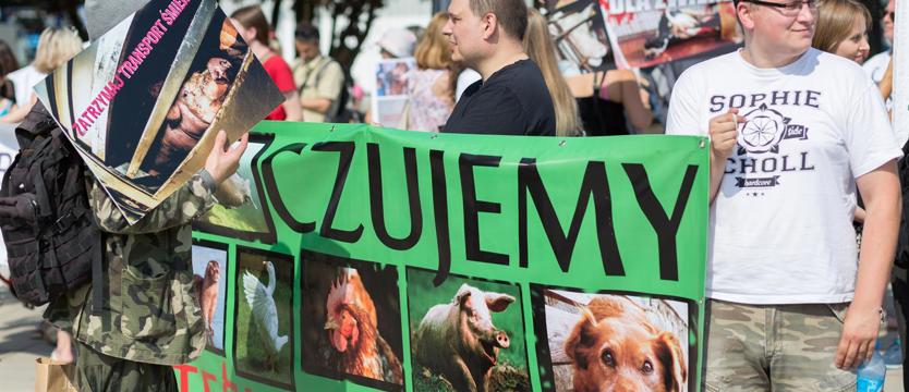W imię praw i wyzwolenia zwierząt