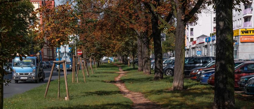 Tak (nie) wyszło z kasztanowcami