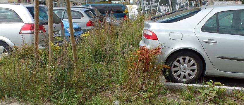 Parking specjalnej troski