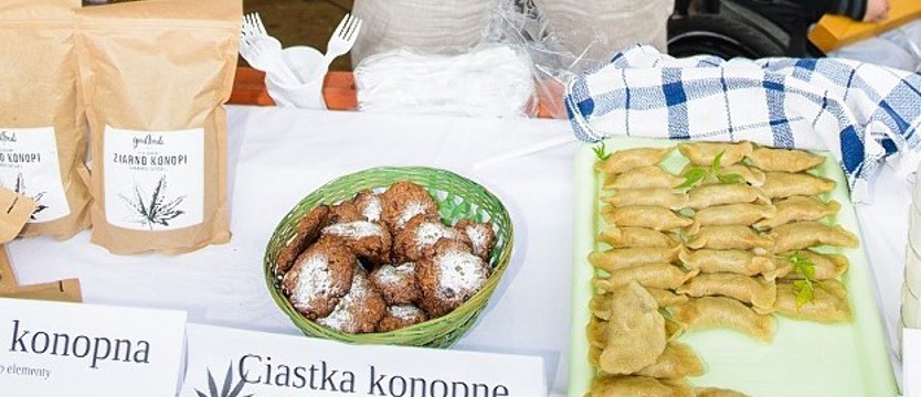 Konopny biznes kwitnie