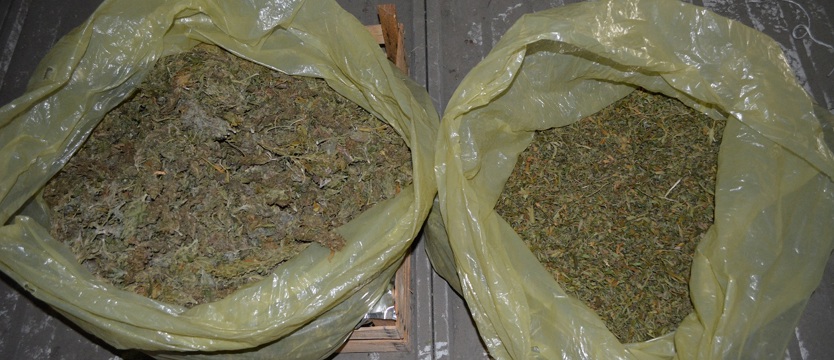 Diler zgromadził prawie 7 kg narkotyków