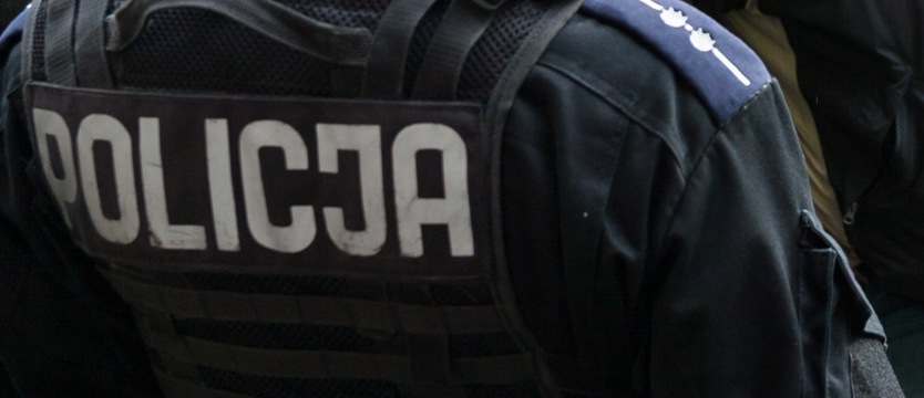 Kolejna akcja wymierzona przeciw pedofilom