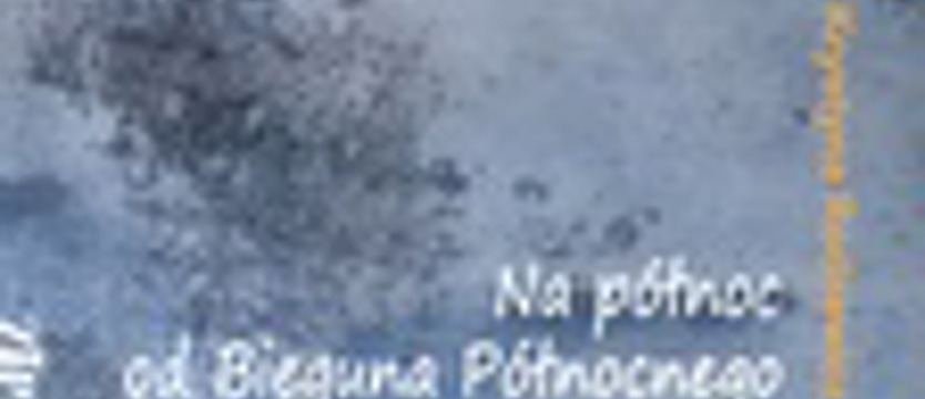 Na północ od bieguna