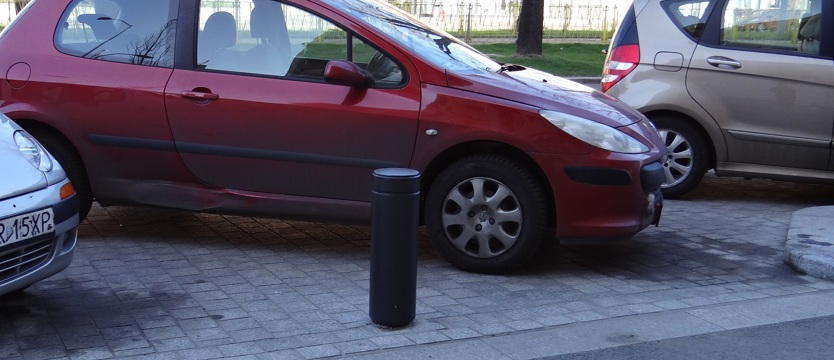 Bez kopert na Niepodległości