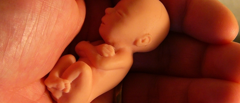 Coraz więcej aborcji