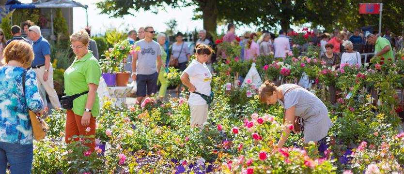 Na Wałach Chrobrego: ogrodowy zawrót głowy