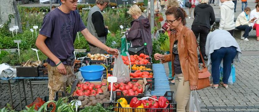 Niedziela, miasto, ogród - drugi dzień imprezy