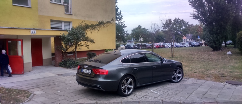 Trzeba mieć tupet