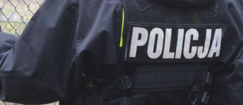 Polscy policjanci pilnują granicy Węgier