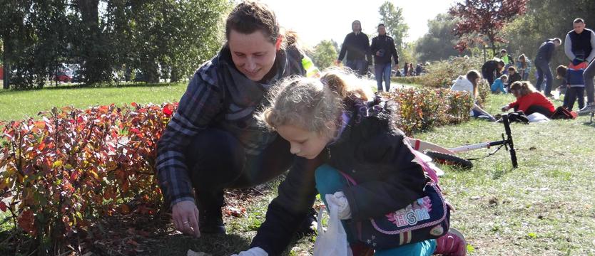 Krokusy dla Szczecina. Głosowanie trwa!