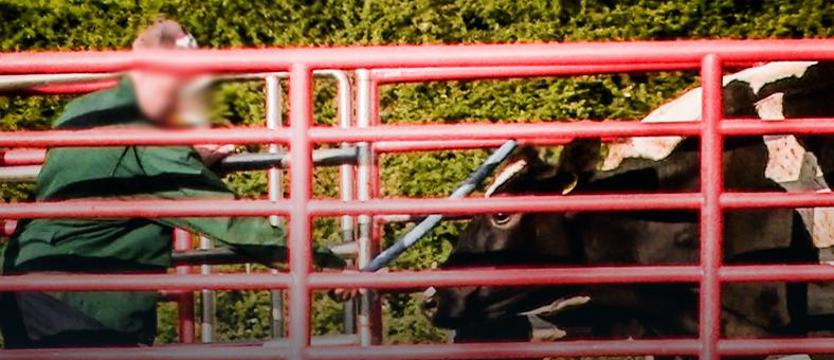 Zarząd „Agrofirmy" się tłumaczy