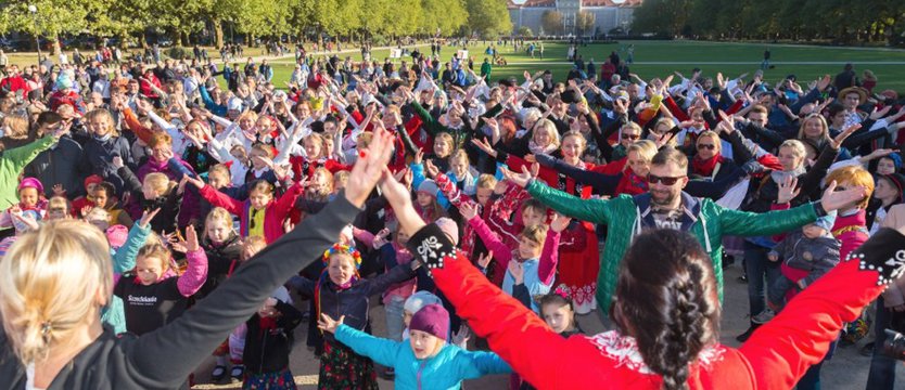 Wycinanie hołubców w parku