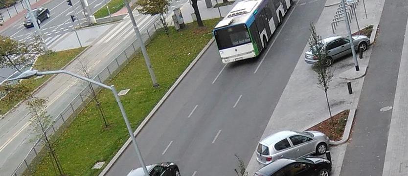 Czyszczenie chodników: Można? Trzeba!