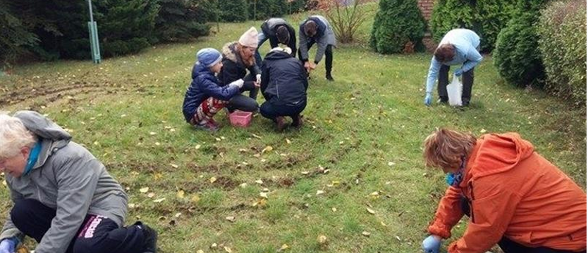 Krokusy i „rewolucja"