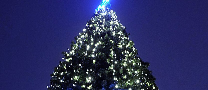 Wielka choinka rozbłyśnie w Świnoujściu