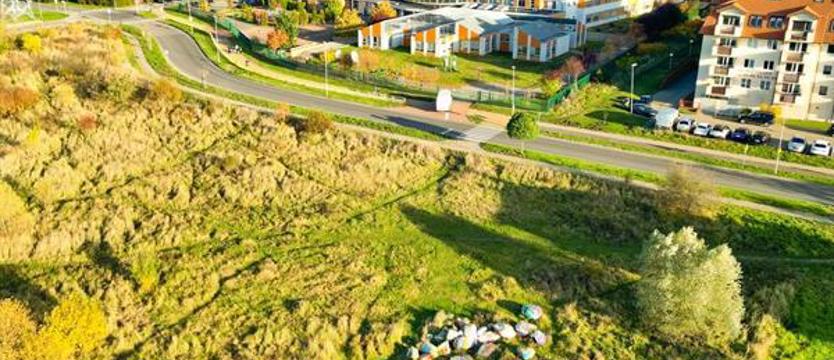 Zielona strona miasta. Nowy rok – nowy park