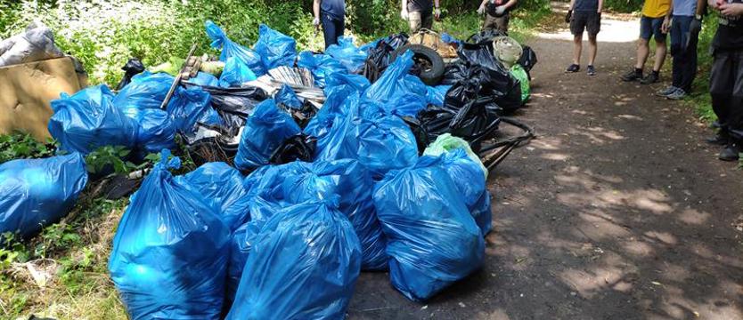 Wespół w zespół – dla puszczy