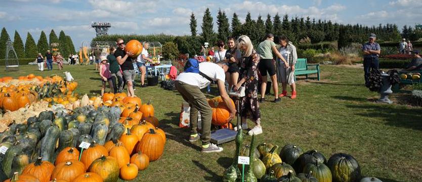 Tłumy na dyniowym party. Carving, czyli sztuka rzeźbienia w owocach i warzywach