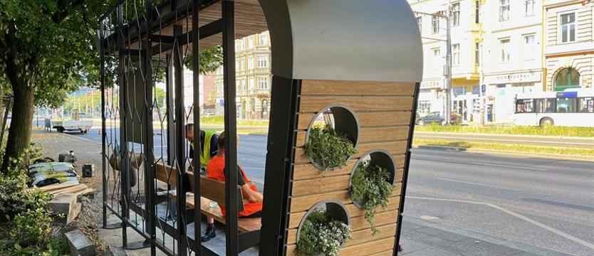 Pierwszy przystanek już z zielenią. Pomysł dobry - realizacja w kiepskim miejscu