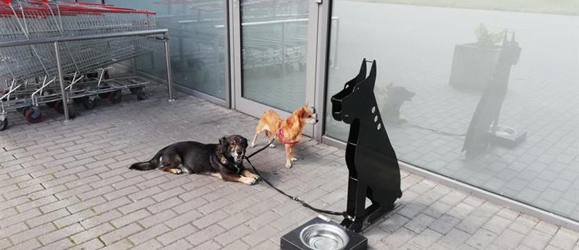Czynnik psi. Na zakupy z pupilem