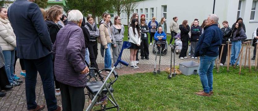 Przy ul. Kruczej posadzili tysiące cebulek. Krokusowa rewolucja trwa