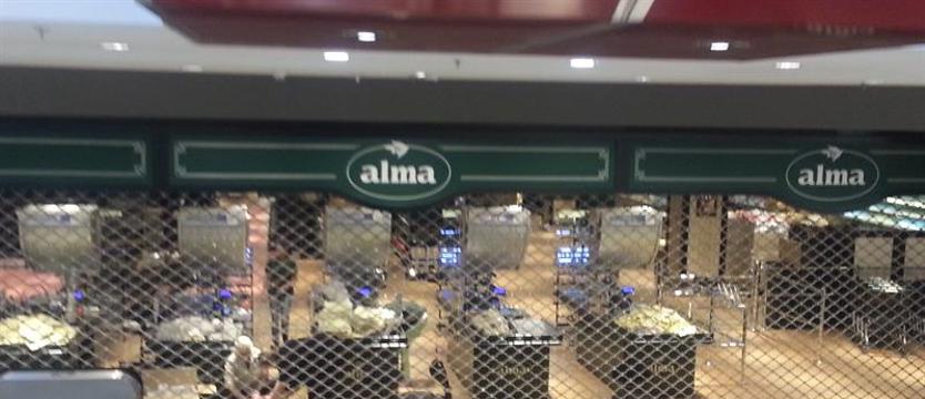 Alma zamknięta