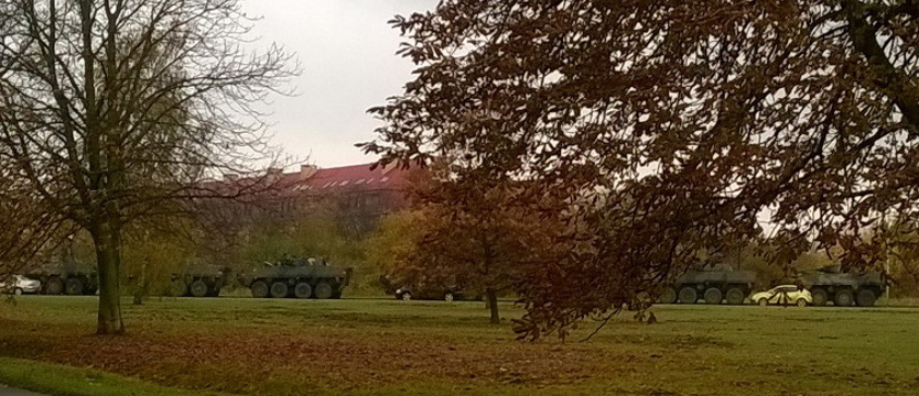 Kolizja Rosomaków