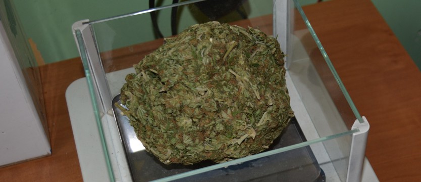 Pięć kilogramów narkotyków w mieszkaniu
