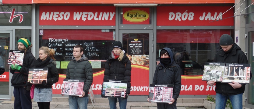 Ludzie dla zwierząt. Po pierwsze: Nie zabijaj!