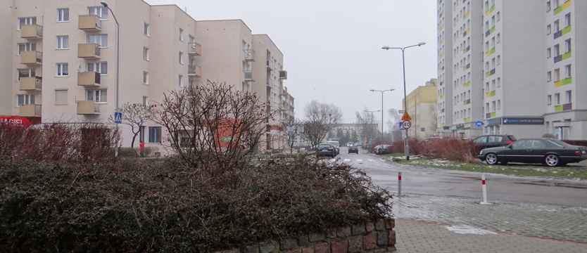 Aby ptaki przeżyły... termoizolację
