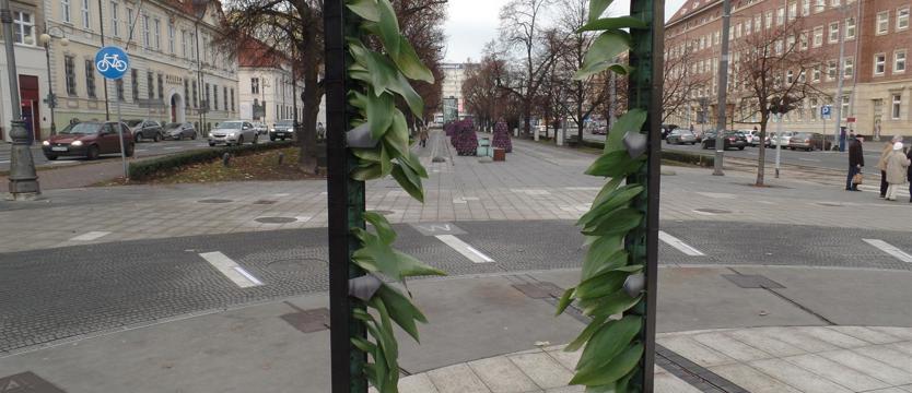 Zielone skrzydła